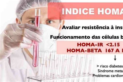 homa beta valor de referência